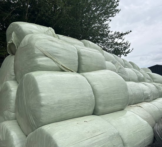 Take action now if your fodder supply is tight for winter