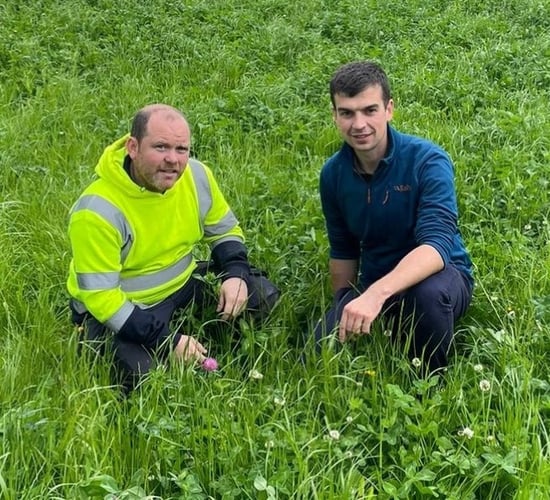 Co. Down sheep farm walk to focus on profit from pasture