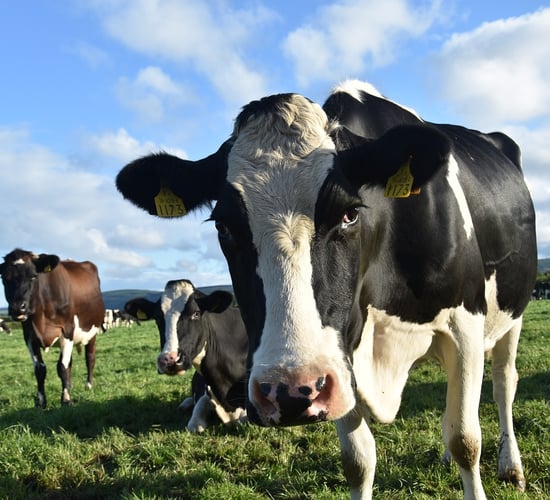 Inflation has 'eroded value' of TB related payments - ICSA