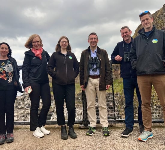 Threats to birdlife put Rathlin Island's economy at risk - Muir