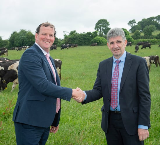 Dairygold appoints chief executive