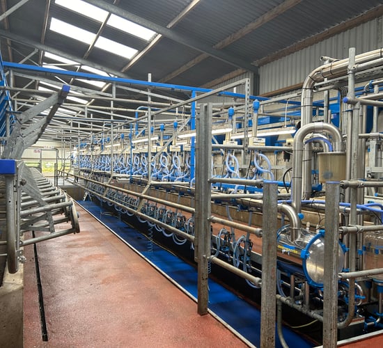 Dairymaster 26-unit parlour impresses at open day on Cork farm