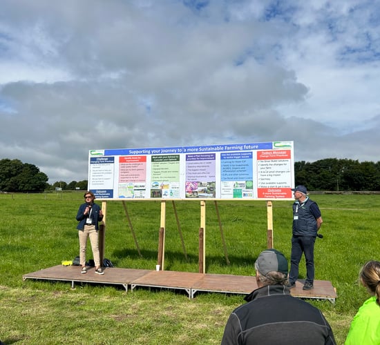 Watch: How to 'farm for a better future' and build resilience