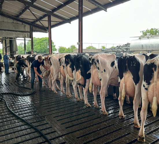 Watch: Dondale Herd impresses at the IHFA national open day