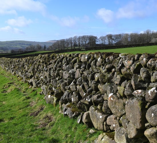 CAFRE to host free dry stone walling training courses