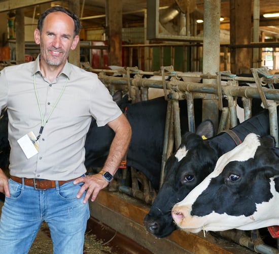 Farm Focus: 600-day lactation at multifaceted German farm