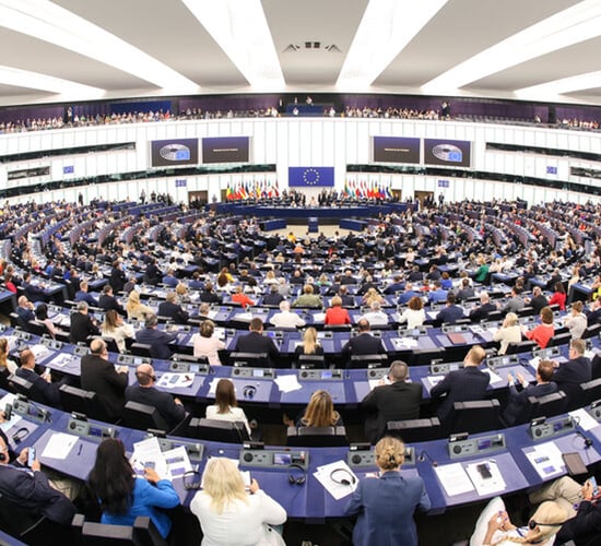 Gorman: Irish farmers must be represented at 'decision making stages' in Europe