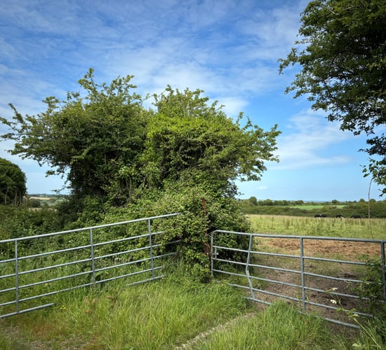 Carlow CoCo agri inspectors to undertake 'investigative monitoring'