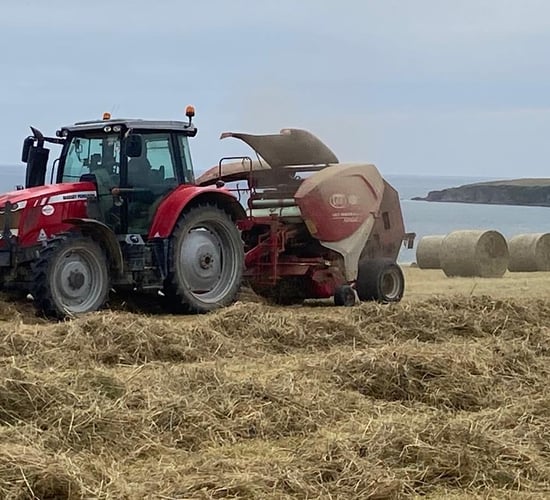 Short weather spell offers potential opportunity for hay