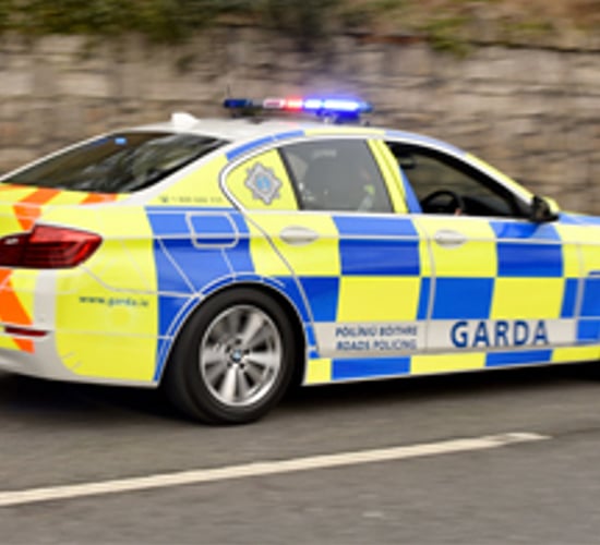 Cattle prod and machete seized amid garda raids