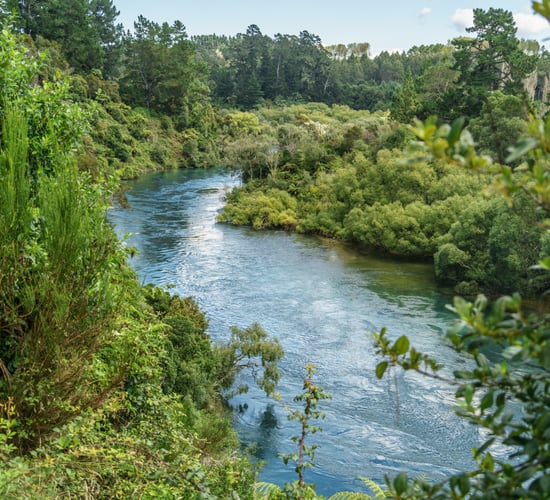 Review claims 'fundamental flaws' in New Zealand water targets