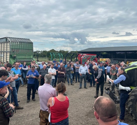 Top price of €6,250 for cow-calf pair at Crann Mor sale