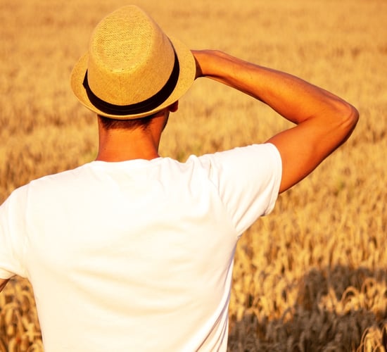 HSE: Outdoor workers are particularly vulnerable to skin cancer