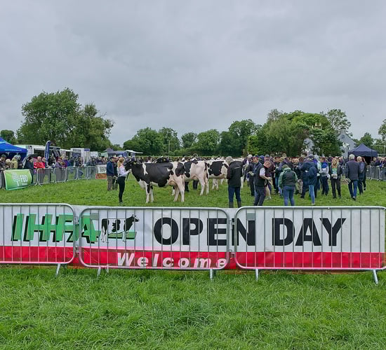 IHFA National Herds Competition winners announced prior to sale
