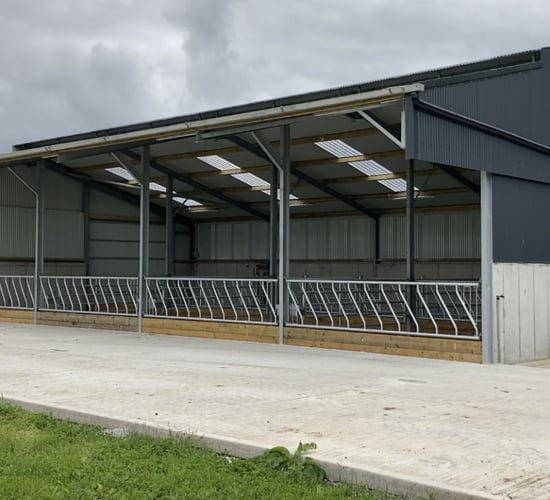 Cleaning and repairing cattle sheds to get winter ready