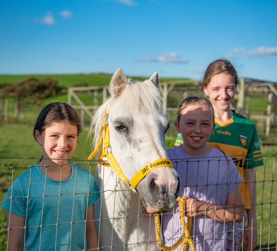 Donegal family's open farm thrives after TB outbreak
