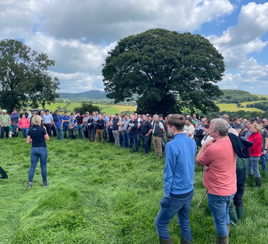 Reminder: Longford beef farm to host ABP event this week