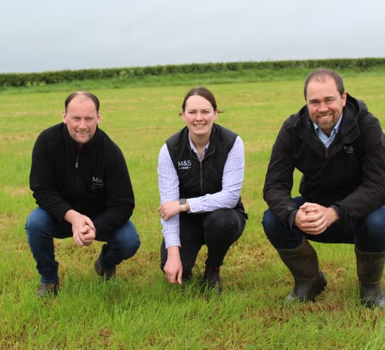 Food to remain a growth area for Marks and Spencer
