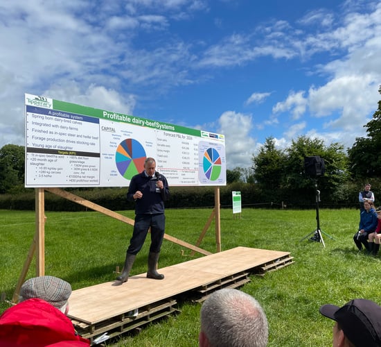 Farmers question Teagasc dairy-beef profitability targets