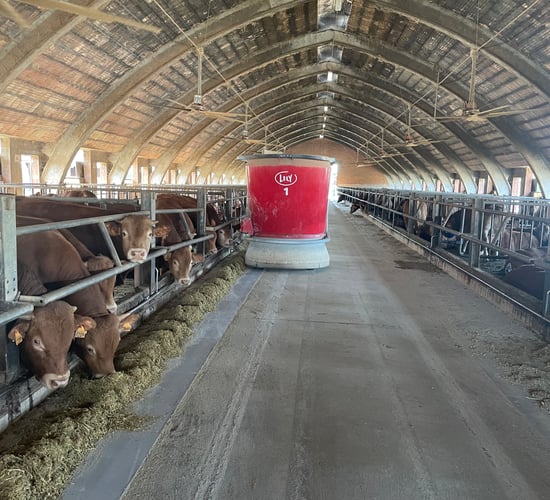 Watch: Italian beef farmers impress Irish tour with robot feed tech