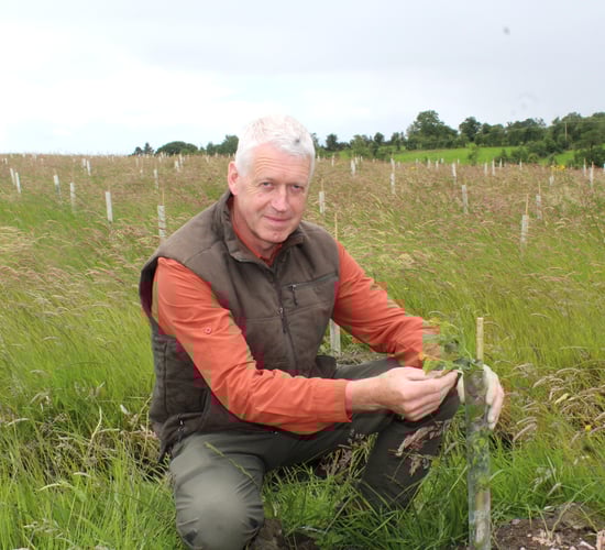 Forestry in Northern Ireland facing uncertain future