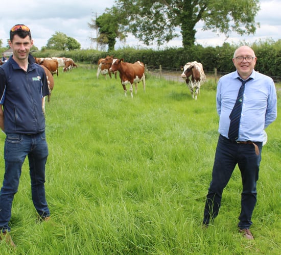 Sexed semen is key to breeding programme on Limerick dairy farm