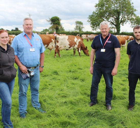 Ayrshire cattle breeding – the South African experience