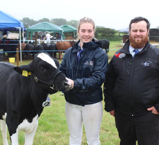 Grazing 650 dairy cows year-round in south Australia