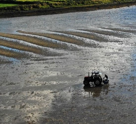 Mayo man convicted for setting illegal net on a beach using tractor