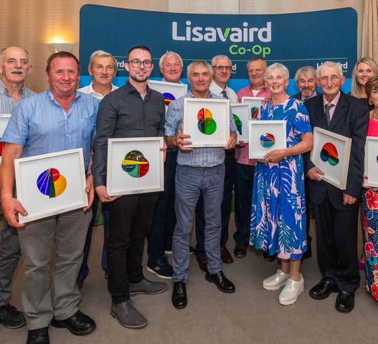 Lisavaird Co-Op celebrates retiring staff and board members