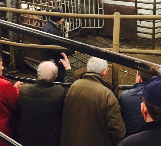 Headford Mart looking to hire general manager