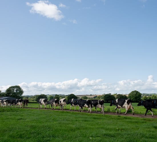 NDC 'Raising the Dairy Voice' series to launch on Agriland