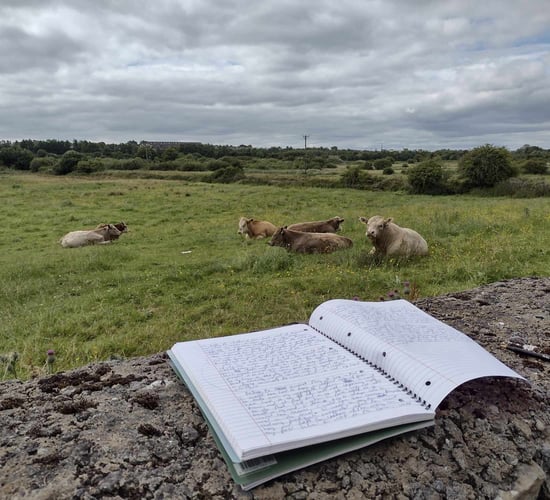 Best in Rural Writing contest 2024 opens for submissions