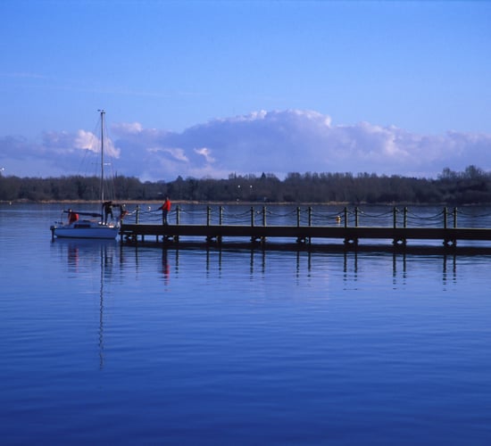 Public urged to join Lough Neagh consultation webinar