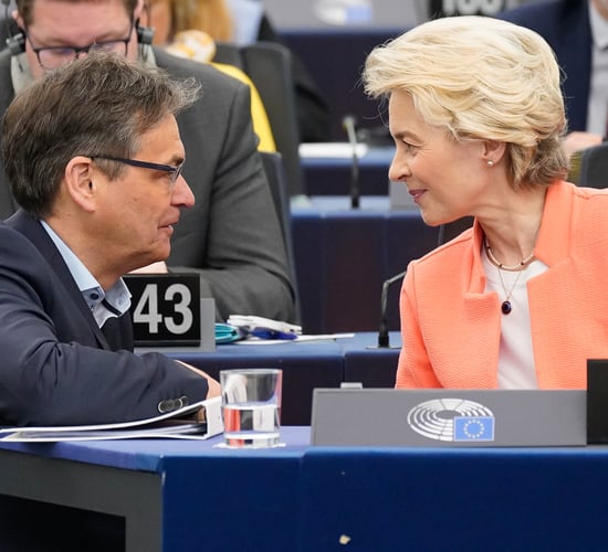 EPP labels EU deforestation legislation a 'bureaucratic monster'