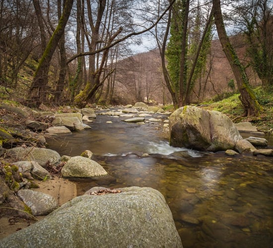 Report: Local solutions, info and incentives crucial for water quality
