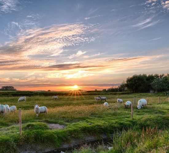 EU agri-markets showing 'positive signs' of stabilising