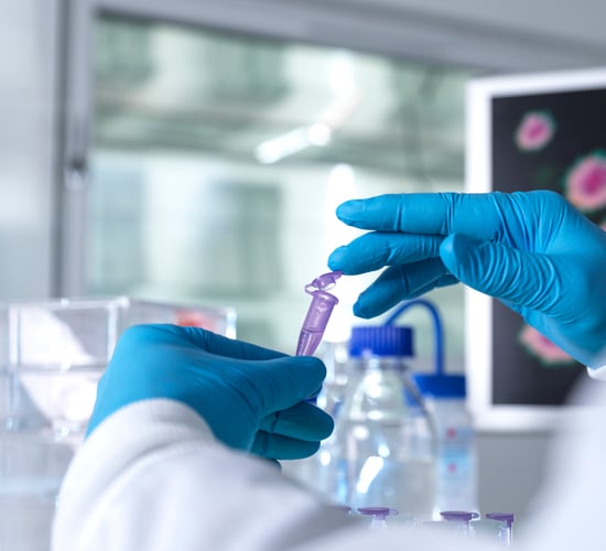 Forensic animal pathology service at Sligo RVL to be phased in
