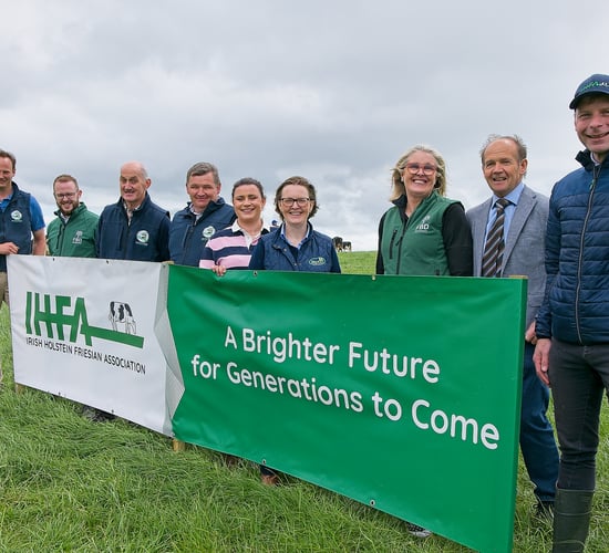 Herds competition winners announced at Pure Friesian Open Day