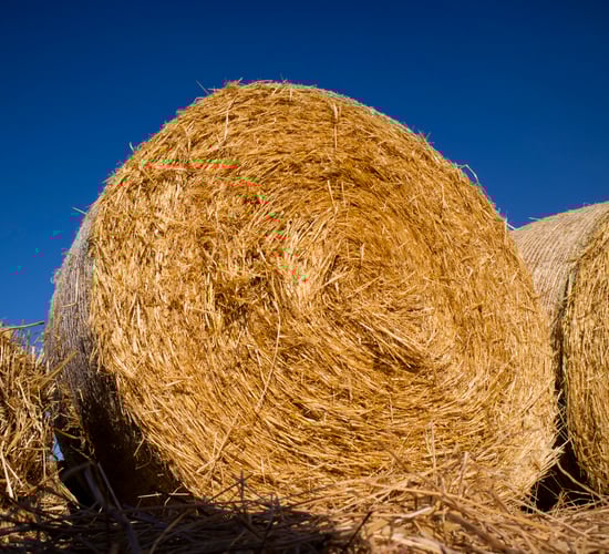 Over 14,800t of straw imported from UK to the end of July
