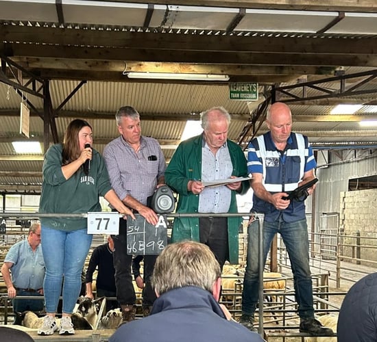 Stepping up to auctioneer at Tuam Mart at 23 years old