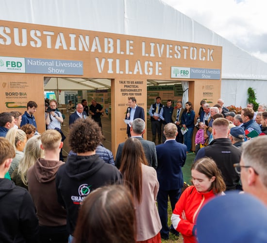Tullamore Show attracts more than 5,000 entries this year