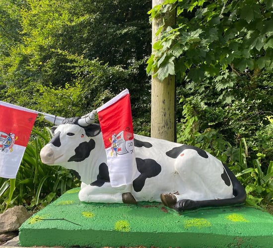 Cork cow dons county colours  ahead of upcoming All-Ireland final