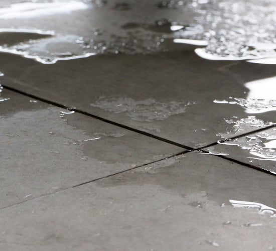 Burst water pipes cause 'significant' damage to DAFM offices