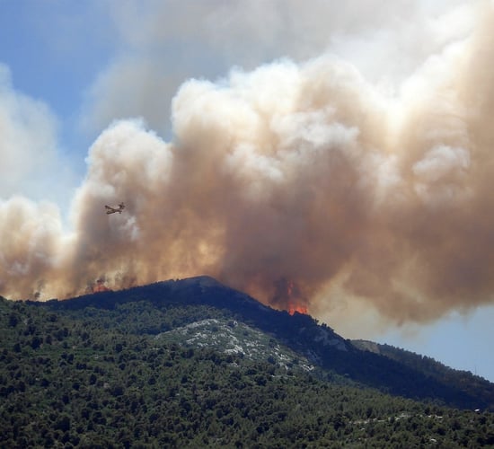 Muir urges landowners to refrain from any prescribed burning
