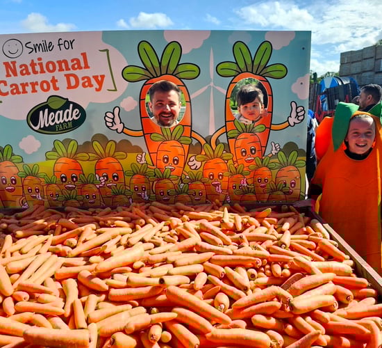 National carrot appreciation day launched