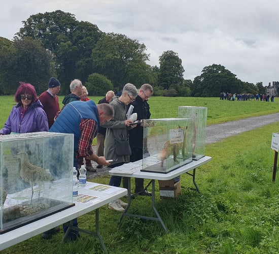 Watch: All things biodiversity on information trail in Birr