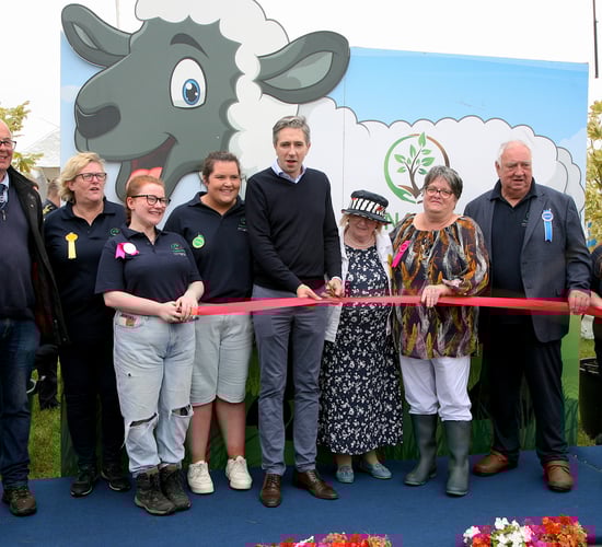'Strong sense of community and enthusiasm' at Tinahely Show
