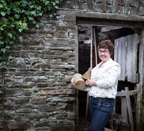 Laois dairy farmer has 'novel' idea for new book