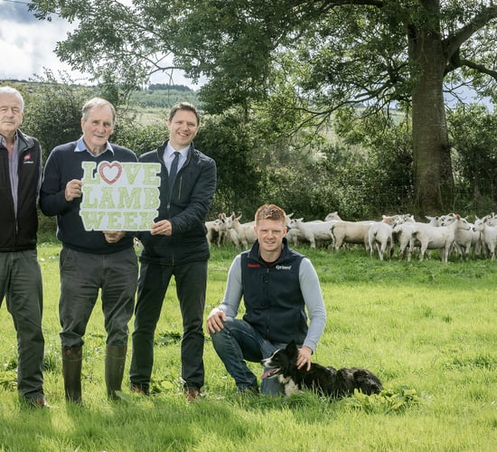 Lack of farming awareness can 'impact a buyer’s choices'- UFU